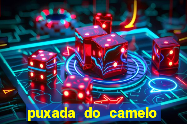 puxada do camelo no jogo do bicho